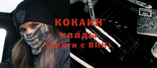 сатива Надым