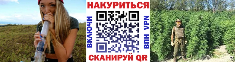 Каннабис план  что такое наркотик  Черняховск 